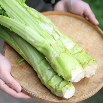 四川棒菜菜苔青菜头脑壳菜老壳蔬菜菜心芥菜3斤