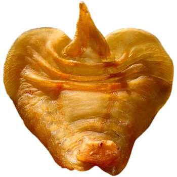 陈年老胶湛江赤嘴鳘鱼胶公肚深海花胶干货孕妇滋补鳌8个/250g