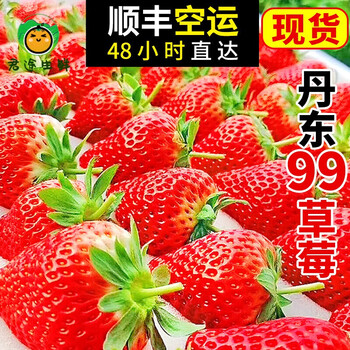 草莓新鲜奶油红颜大草莓当季水果现摘现发罗曼蒂克草莓500g精选大果
