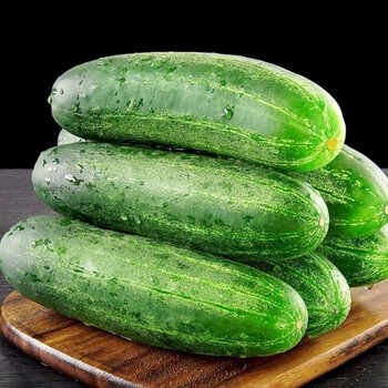 新鲜黄瓜生吃老黄瓜肉黄瓜旱黄瓜土黄瓜福建蔬菜青瓜吊瓜3/5斤 3斤