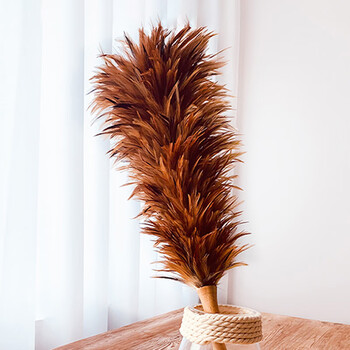 默然诺尔  鸡毛掸子纯手工除尘掸家用鸡毛扫静电吸附不掉毛可水洗 0cm