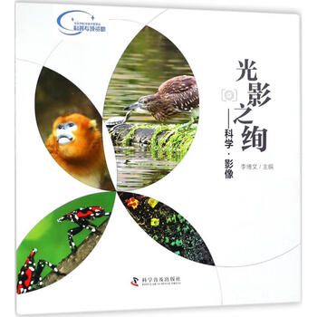 光影之绚 李博文 主编 书籍