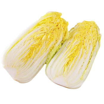 娃娃菜新鲜3斤5斤9斤自家种植黄牙白包心娃娃菜火锅食材蔬菜脆嫩鲜