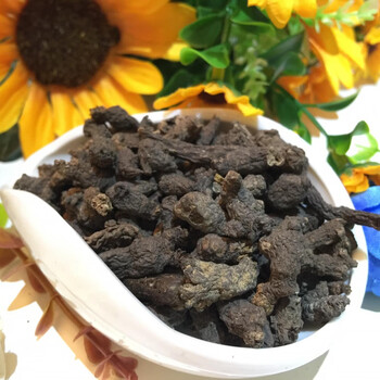 康中尊天葵子500g千年老鼠屎野生紫背天葵新鲜干货