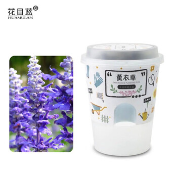 花目蓝趣味小盆栽套装蔬菜种植学校礼品开心农场diy儿童种植礼物创意迷你植物幼儿园植物观察生长薰衣草 含盆种植套装 图片价格品牌报价 京东 花目蓝趣味小盆栽套装蔬菜种植学校礼品开心农场diy儿童种植礼物创意迷你植物幼儿园植物观察生长薰衣草 含盆种植套装 图片价格品牌报价 京东