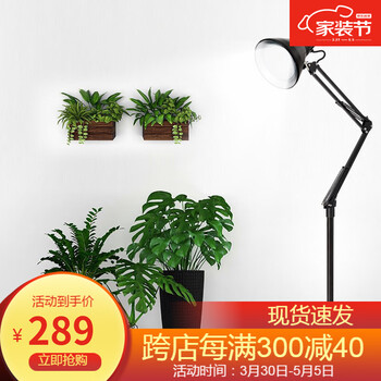 飞利浦全光谱led植物生长灯管家用多肉补光灯仿太阳自然光光合作用灯飞利浦16w全光谱灯泡 黑色圆盘灯架 加重底座 图片价格品牌报价 京东