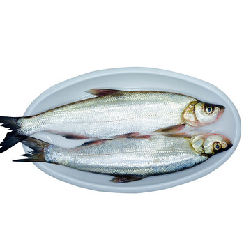 翘嘴鱼 大白刁 翘嘴白鱼 翘嘴巴鱼 翘嘴鲌鱼新鲜刁子鱼 大菜园 3kg(6