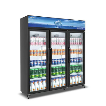 星星(xingx)冰柜商用立式展示柜饮料冷藏柜保鲜柜冷柜 【双层玻璃】