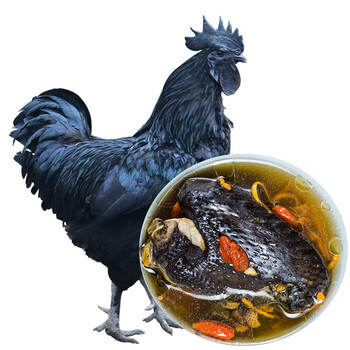 谷凡400天云南盐津乌骨鸡老鸡黑脚鸡黑鸡正宗农家纯粮喂养产妇术后