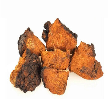 芦阳芝大粒 西藏野生芦阳芝 官网芦阳芝 (买2贈1) 矷山芦阳芝30克-200