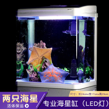 海星活體活魚海星活寵物海水觀賞翻砂小寵活物活的小型水族海盤車水母