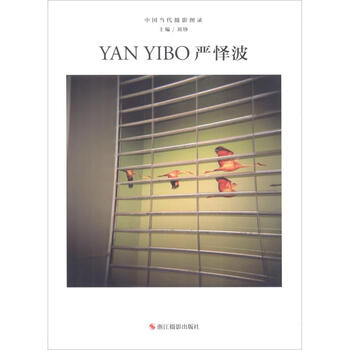 严怿波 刘铮主编  刘铮 编 书籍