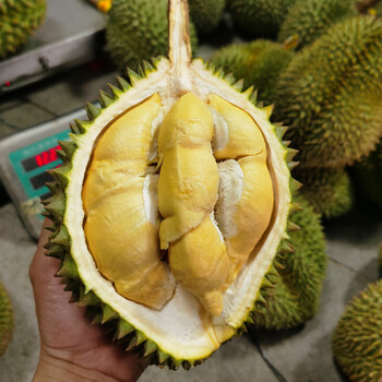 轻恋2-6 斤 泰国青尼 查曼妮榴莲 肉黄味浓 糯度高 有回甘 1颗 3.