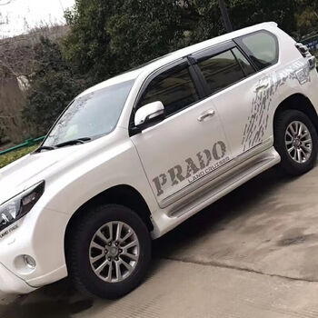 车身两侧拉花一套亚银色