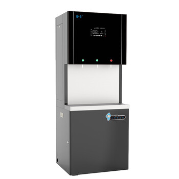 净幸(cleluck)商用净水器 公司单位用一体机学校车站商用过滤直饮水机