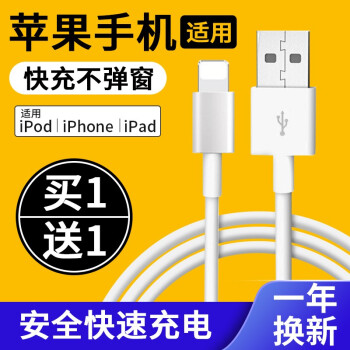 意喜苹果ipad充电器头平板12w Ipad Air2 Pro Mini4 3 2 苹果数据线适用手机 Ipad 2条数据线 图片价格品牌报价 京东