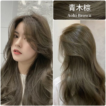 2022流行色染发膏植物奶茶灰棕色染头发膏 青木棕【100g/支】无需褪色