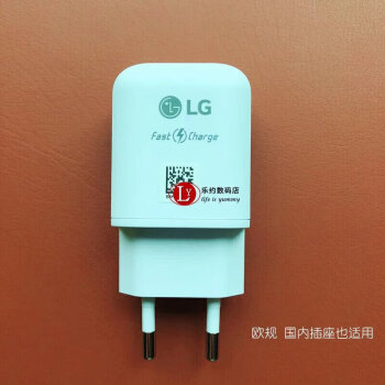 悅物耐典汽車原廠原裝lgv40v50原裝充電器v60g6g7g8快充充電歐規原裝