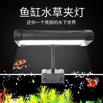 奥德赛水草灯卤素灯金卤灯水族箱鱼缸夹灯红草绿草大功率珊瑚海水缸灯水陆缸爆藻夹灯70w 色温k 图片价格品牌报价 京东 奥德赛水草灯卤素灯金卤灯水族箱鱼缸夹灯红草绿草大功率珊瑚海水缸灯水陆缸爆藻夹灯70w 色温k 图片价格品牌报价 京东