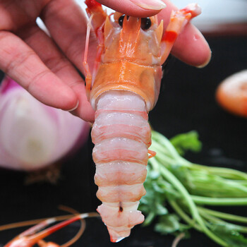 轻恋舟山海鳌虾2斤/14-16cm新鲜野生深海鳌虾刺身甜虾海螯虾熬虾海鲜