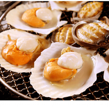 10只半壳超大虾夷带壳大扇贝新鲜冷冻海鲜蒜蓉粉丝烧烤元贝夏夷贝