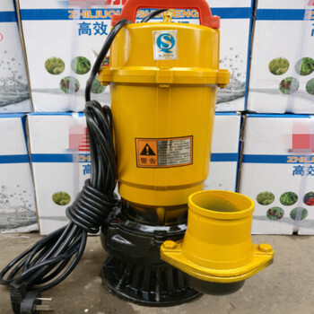 寸2f4寸潜水泵大流量农用灌溉家用抽水机22 2200瓦3寸加6米布水袋220v