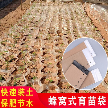 芊阙快速装土蜂窝育苗纸筒育苗袋蔬菜育苗纸筒育苗纸袋育苗穴盘913有