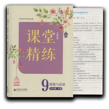 卷活页及答案辅导书北京师范大学出版社正版现货道德与法治九年级上