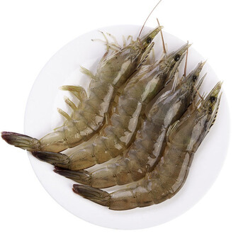 最洽基围虾4斤青岛大虾超大海虾鲜活冷冻白虾对虾新鲜海捕海鲜虾 1500