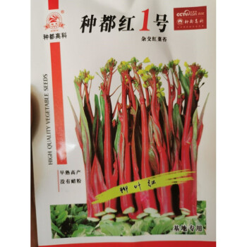 种都高科红菜苔种子紫菜苔种子白菜苔种子农家秋季四季蔬菜种孑籽种都红1号 10克 X1包 图片价格品牌报价 京东