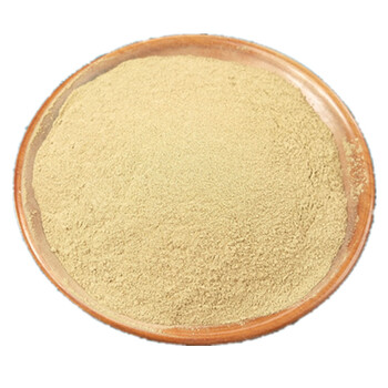 藿香粉中药材广藿香叶粉粉中草药代客磨粉500g