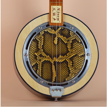 三弦秦琴乐器圆形秦琴广东民族弹拨乐器老人乐器 款半音【图片 价格