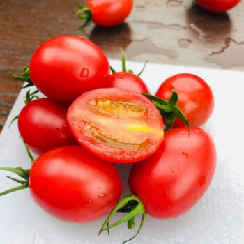 正宗广东冰糖千禧果小番茄沙地露天种植爆甜多汁圣女果10斤