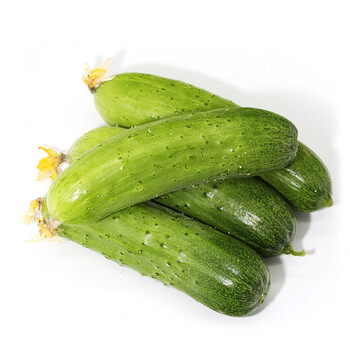 密洋青禾官方旗舰店>密洋青禾(miyangqinghe)>黄瓜>茄果瓜类>蔬菜>