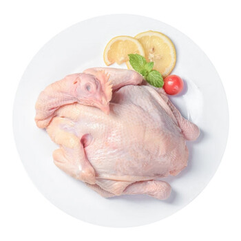 草原宏达草原鸡900g散养新鲜冷冻鸡肉净膛红烧