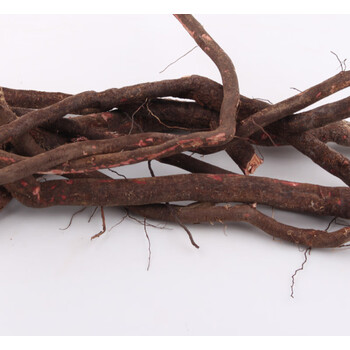 伟博酸枣根500g酸枣树根太行山现挖