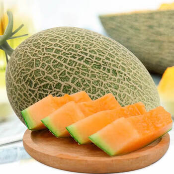 皓谦海南沙地晓蜜25号小蜜哈密瓜原箱脆甜多汁当季孕妇水果 6-7斤