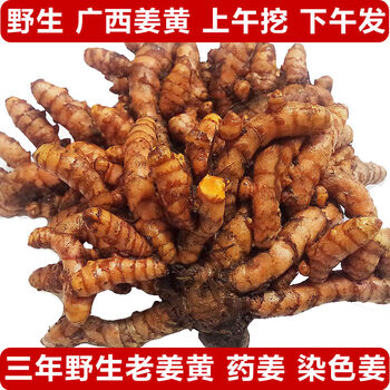 觅裕欢 顺丰 广西野生小姜黄现挖新鲜野生小黄姜月子姜黄肉姜 精选
