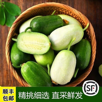 山东新鲜玉女小黄瓜拇指颜如玉水果黄瓜批发小黄瓜生吃网红q蛋瓜暂不