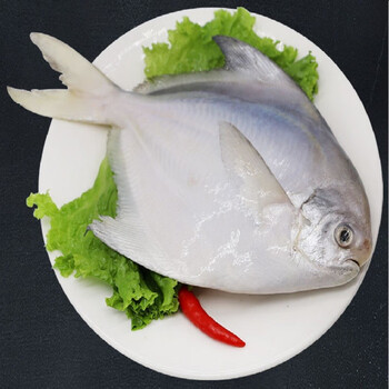新鲜海鲜冻鲜野生白鲳鳊200g泰州财政局专供