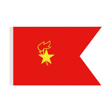 温妤wxpyu少先队队旗手持中国少年先锋队大队旗中小号小学生旗帜温妤