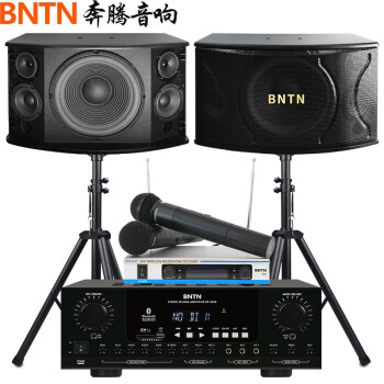 万马奔腾（BNTN）KTV音响专业三分频音箱家庭影院KTV专业K歌套装家庭影院会议家用音响 8200配12音箱