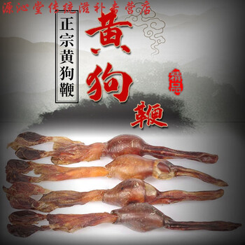 华佗拾遗大条狗鞭黄狗鞭滋补药材整条大鞭正宗黄狗鞭煲汤滋补泡酒药材