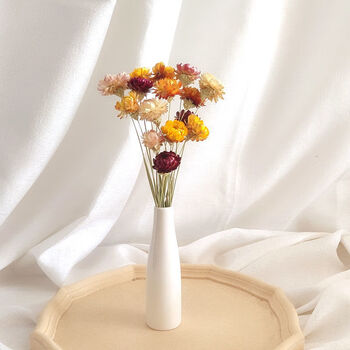 爱满aiman云南天然风干花雏菊太阳花真花束ins网红装饰摆件带花瓶拍摄