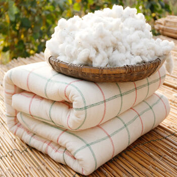 棉被子被芯加厚保暖棉絮垫被春秋冬被芯单双人15斤真棉花90200cm坚决