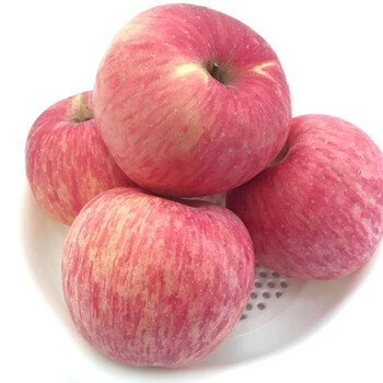 山西吉县红富士苹果新鲜壶口特大水果8斤礼盒非烟台洛川栖霞苹果