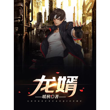 龙婿上门女婿太给力仗母娘看傻眼