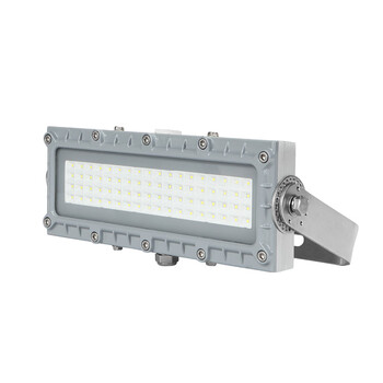 通明电器 TORMIN BC9102S-L40 LED防爆灯 40W 212×338×93mm (单位:套)