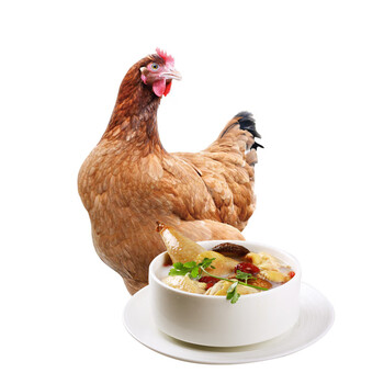 走地鸡新鲜鸡肉整鸡 700g/只 整只装【图片 价格 品牌 报价】-京东