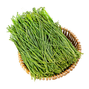 新鲜沙葱 甘肃民勤特产胡葱 下饭菜 1斤试吃装